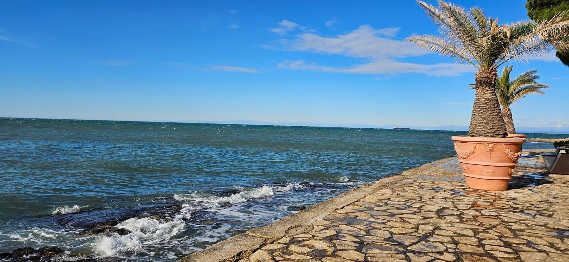 Sea View Apartment Renzzo Strunjan Exteriér fotografie