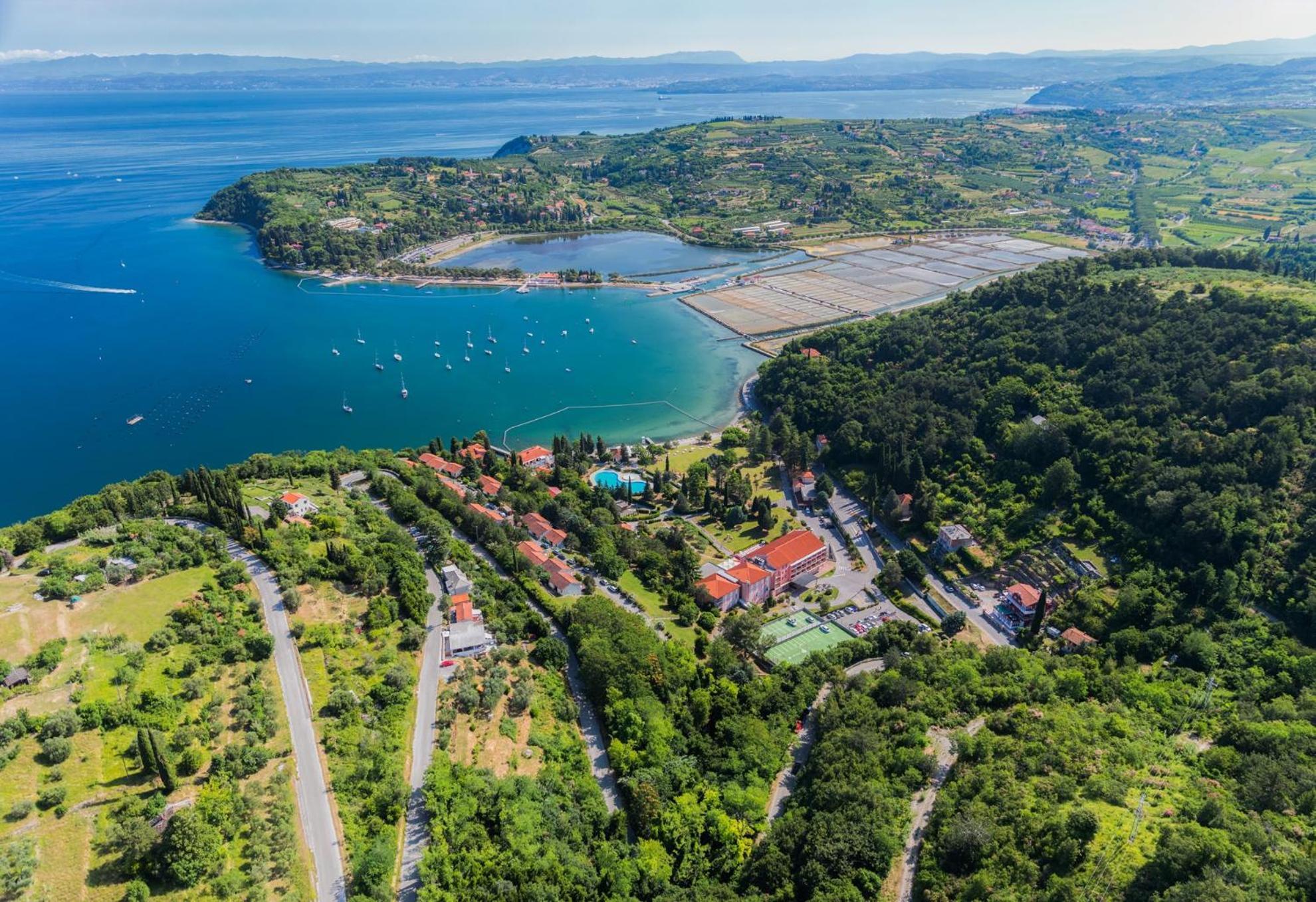 Sea View Apartment Renzzo Strunjan Exteriér fotografie