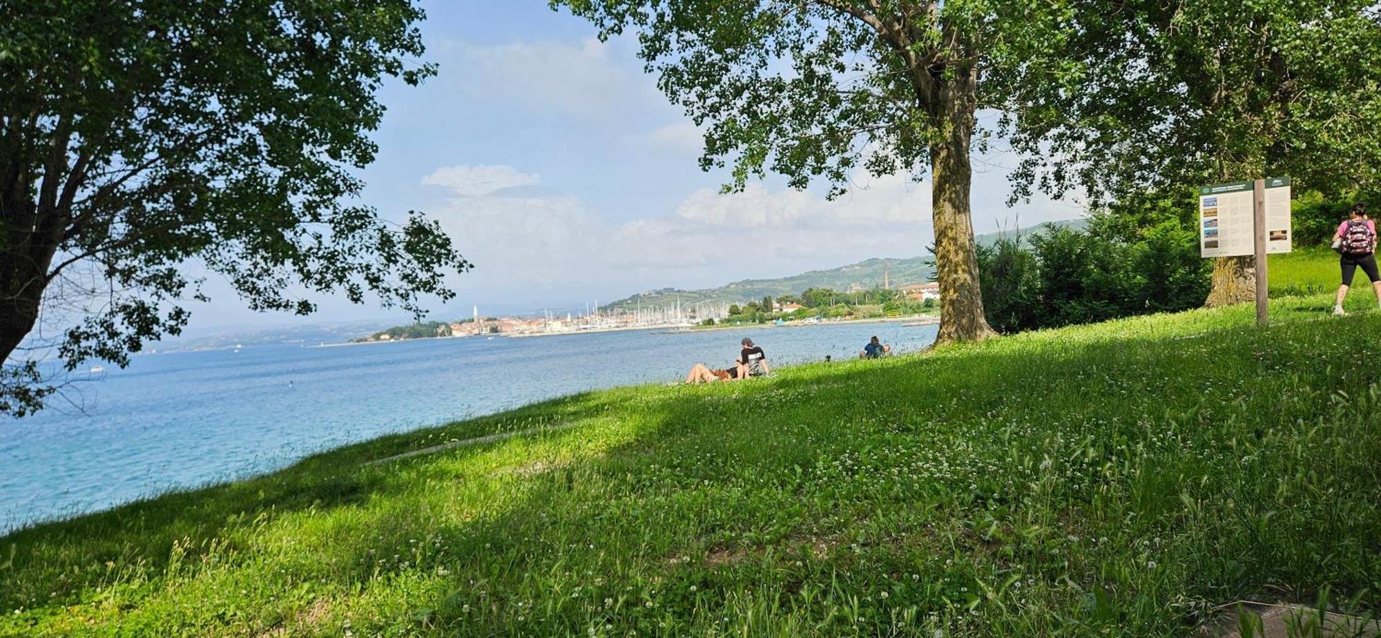 Sea View Apartment Renzzo Strunjan Exteriér fotografie
