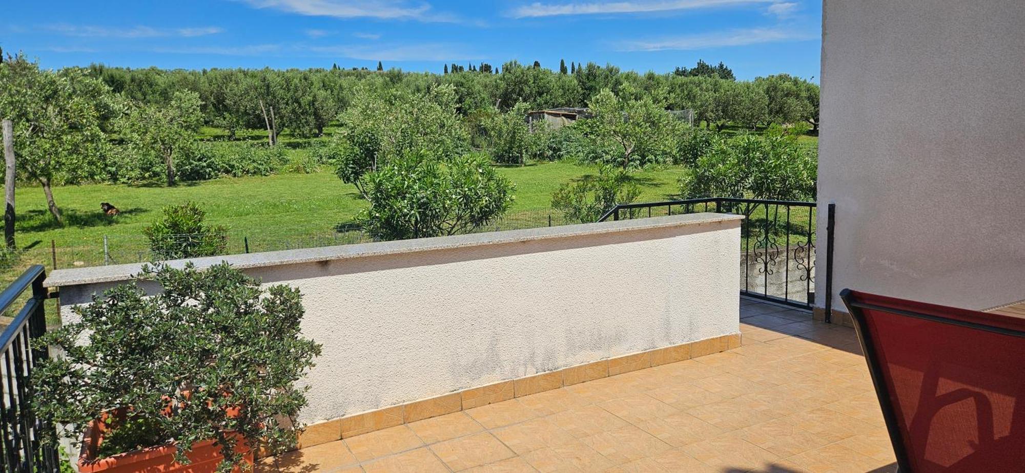 Sea View Apartment Renzzo Strunjan Exteriér fotografie